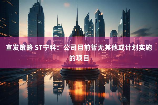 宣发策略 ST宁科：公司目前暂无其他或计划实施的项目