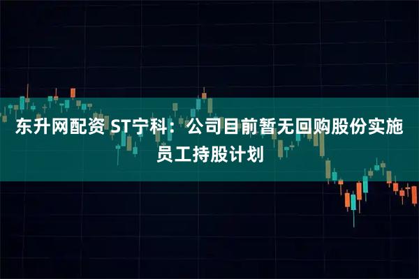 东升网配资 ST宁科：公司目前暂无回购股份实施员工持股计划