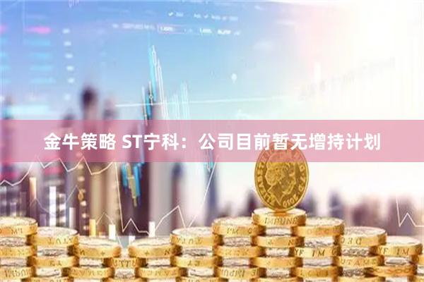 金牛策略 ST宁科：公司目前暂无增持计划